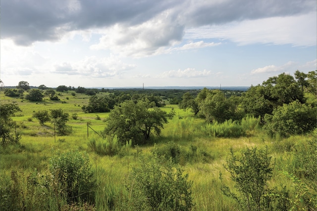 view of local wilderness with a rural view