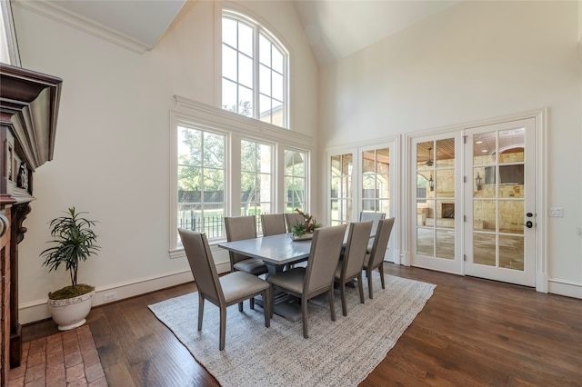 dining room with high vaulted ceiling, a baseboard heating unit, and dark hardwood / wood-style floors