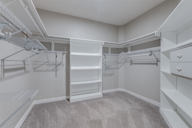 spacious closet with carpet