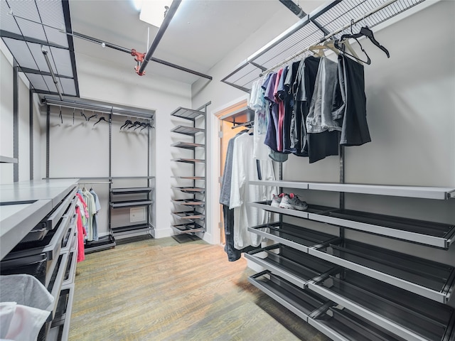 walk in closet with hardwood / wood-style flooring