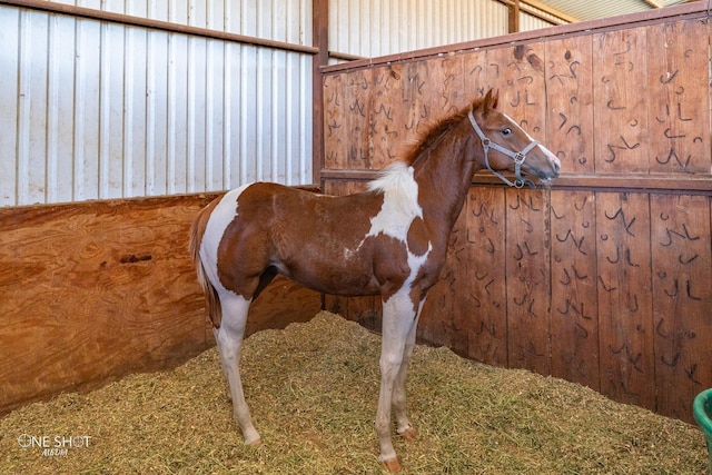 view of horse barn