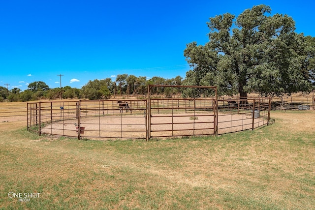 view of yard featuring a rural view