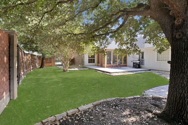 view of yard featuring a patio