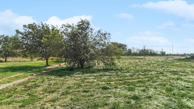 view of yard featuring a rural view