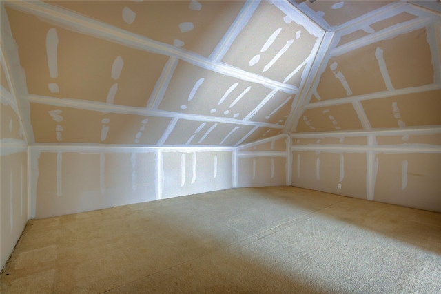 additional living space with lofted ceiling