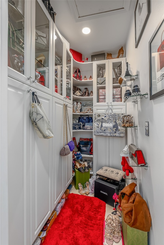 view of spacious closet