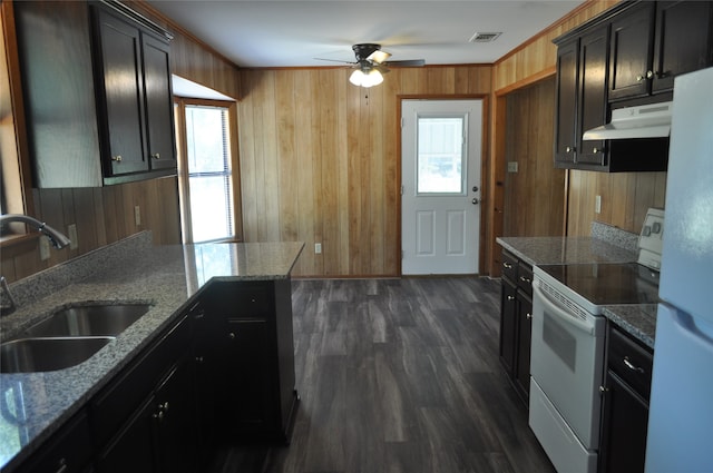 kitchen with ceiling fan, dark wood-type flooring, white appliances, and a healthy amount of sunlight