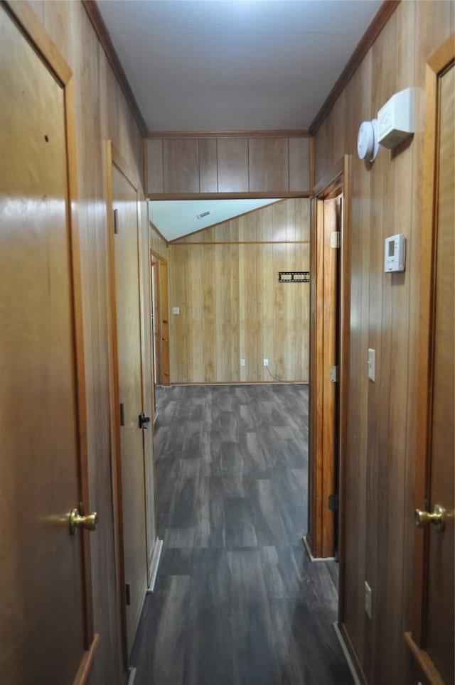 hall with wooden walls and dark hardwood / wood-style floors