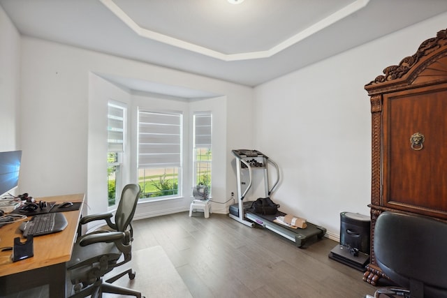 office with hardwood / wood-style floors and a tray ceiling