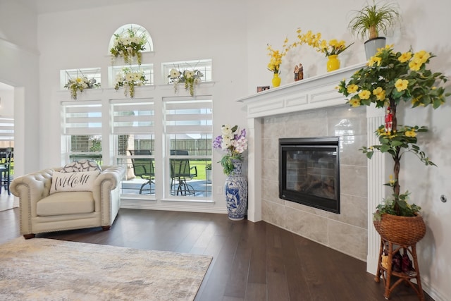 living room with a fireplace and dark wood-type flooring