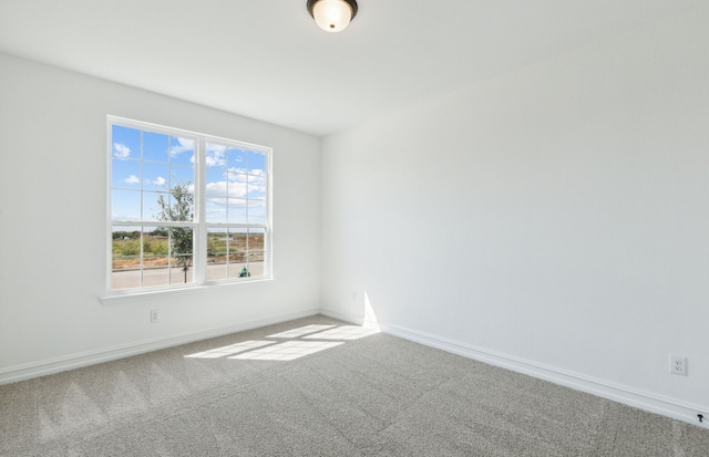 spare room with carpet flooring