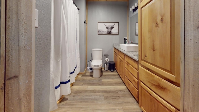 bathroom featuring toilet, vanity, and wood-type flooring