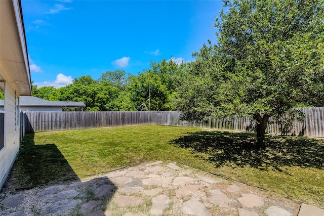 view of yard featuring a patio