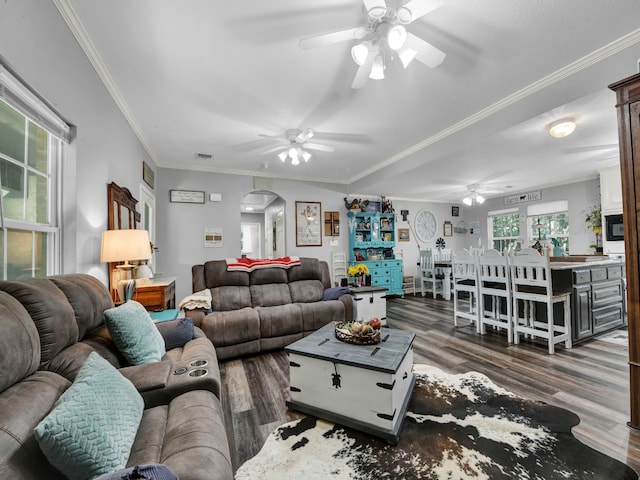 living room featuring ceiling fan, dark hardwood / wood-style floors, and crown molding