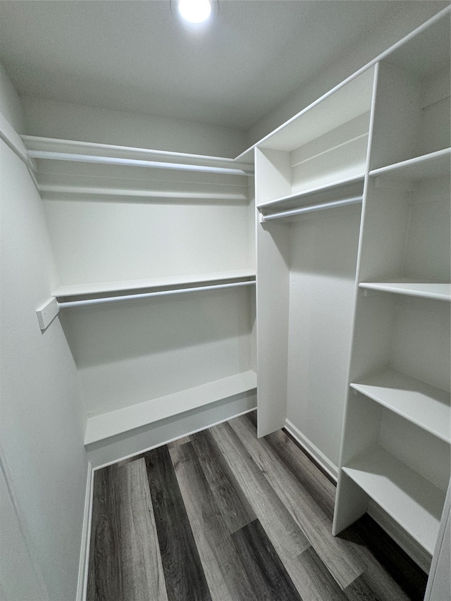 spacious closet with wood-type flooring