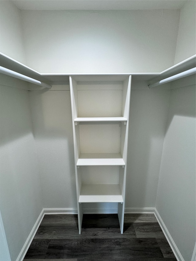 spacious closet featuring dark hardwood / wood-style floors