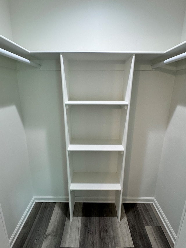 spacious closet with wood-type flooring