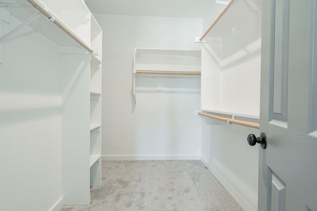 spacious closet featuring light colored carpet