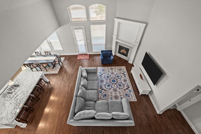 living room with high vaulted ceiling and dark hardwood / wood-style floors