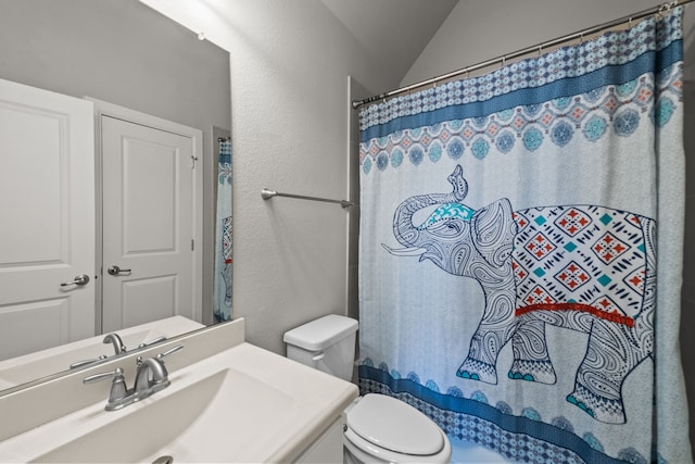 bathroom featuring toilet, vanity, and lofted ceiling