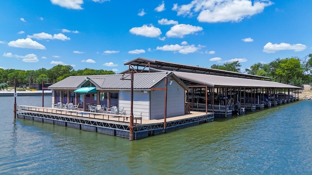 dock area with a water view