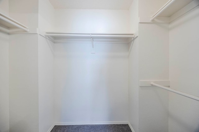 spacious closet featuring carpet floors