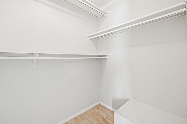 walk in closet featuring light wood-type flooring