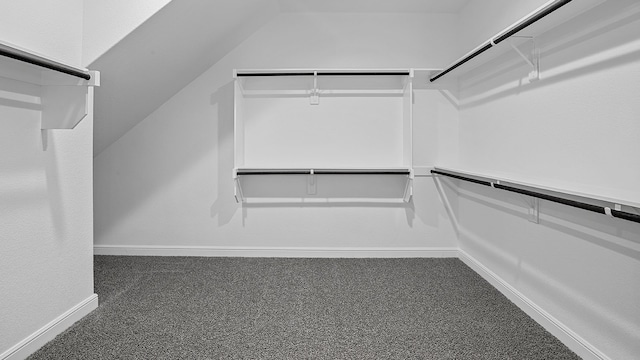 spacious closet featuring carpet