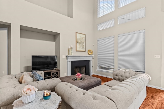 living room with a high ceiling and hardwood / wood-style floors