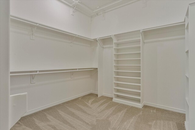 spacious closet featuring light carpet