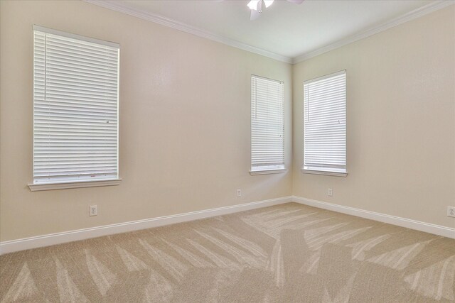 carpeted empty room with ceiling fan and crown molding