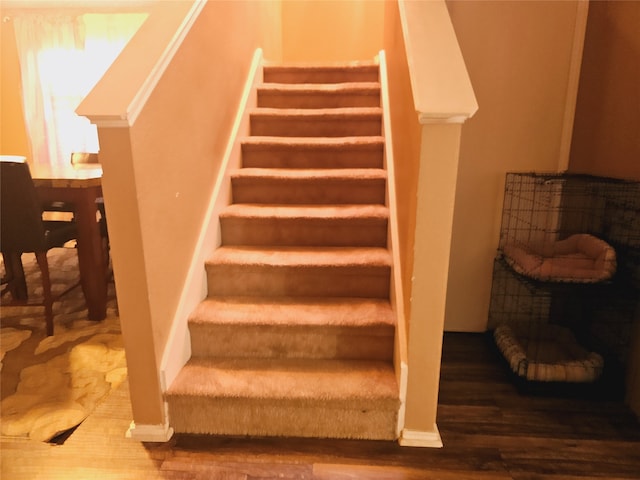 staircase with hardwood / wood-style floors