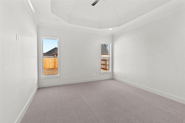 spare room featuring light colored carpet, a tray ceiling, and crown molding