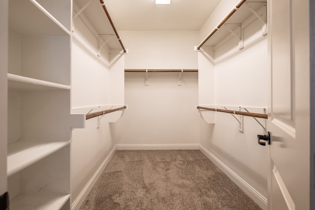 spacious closet with carpet flooring