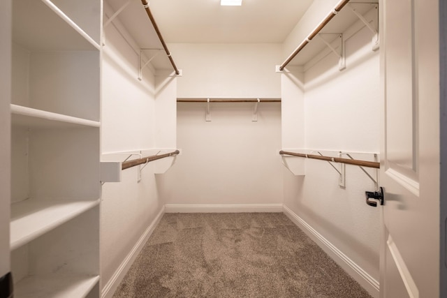 spacious closet featuring carpet