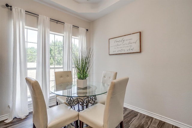 dining area featuring a raised ceiling and dark wood-type flooring