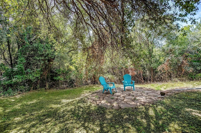 view of yard featuring a patio area