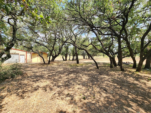 view of yard with a garage