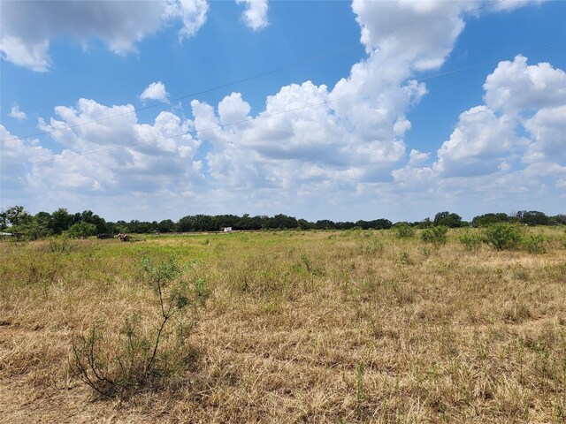 view of local wilderness featuring a rural view