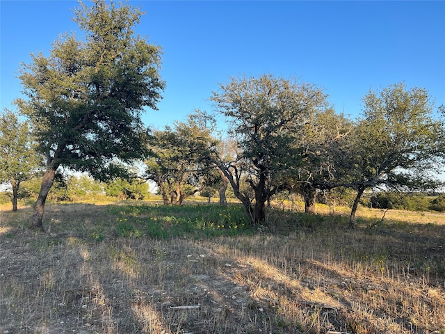 TBD Bellenger, Weatherford TX, 76088 land for sale