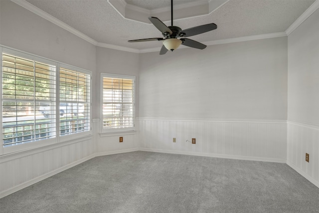 carpeted spare room featuring ceiling fan, ornamental molding, and a textured ceiling