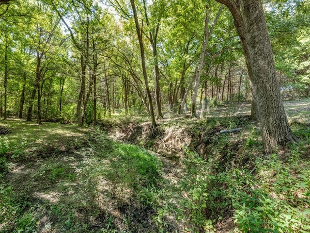 view of local wilderness