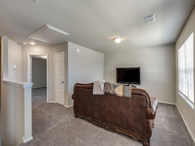 carpeted living room with a textured ceiling