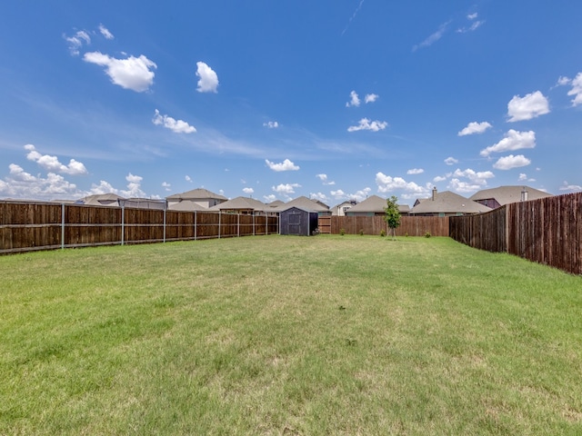 view of yard with a storage unit