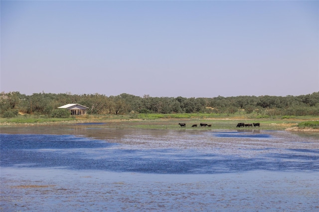 property view of water featuring a rural view and a wooded view