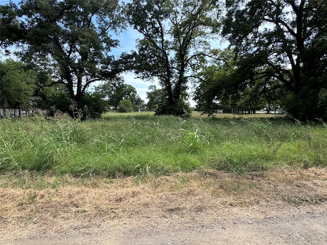 TBD Farm Rd Unit 196, Pattonville TX, 75468 land for sale