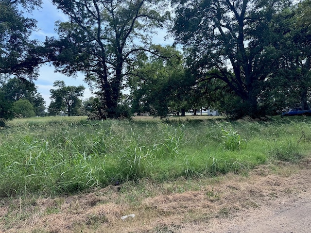 Listing photo 3 for TBD Farm Rd Unit 196, Pattonville TX 75468