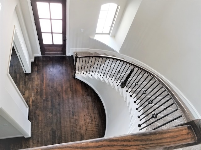 foyer featuring a towering ceiling and dark wood-type flooring