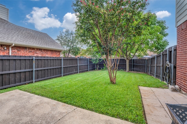 view of yard with a patio area