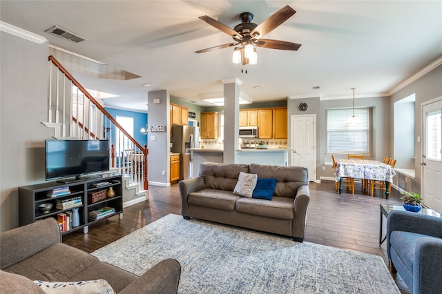 living room featuring ceiling fan, ornamental molding, and dark wood-type flooring